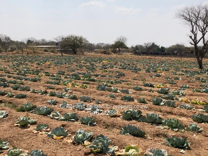 Farm For Sale In Nyamandlovu