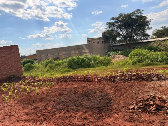 Commercial & Industrial Land