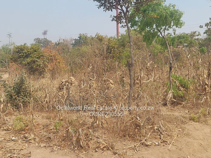 Stand for Sale – Crowhill Views 