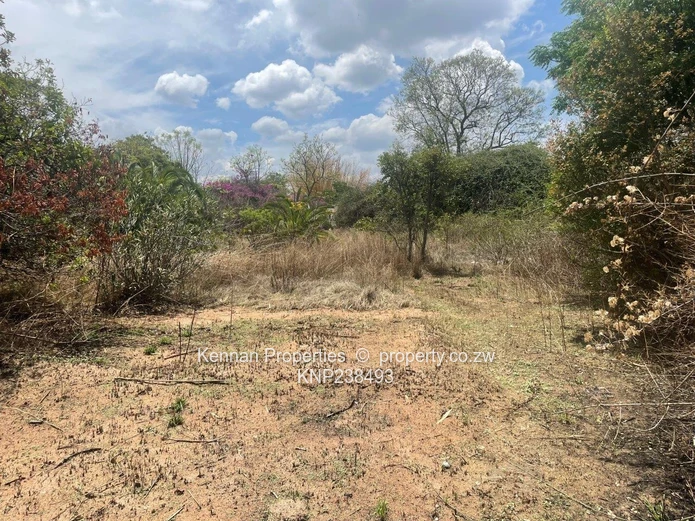 Hatfield 7600 s/mtrs property for sale (Sole Mandate)