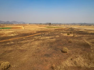 Farm & Agricultural Land