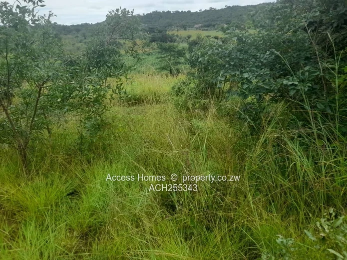 Gweru Hertfordshire Stand for sale 