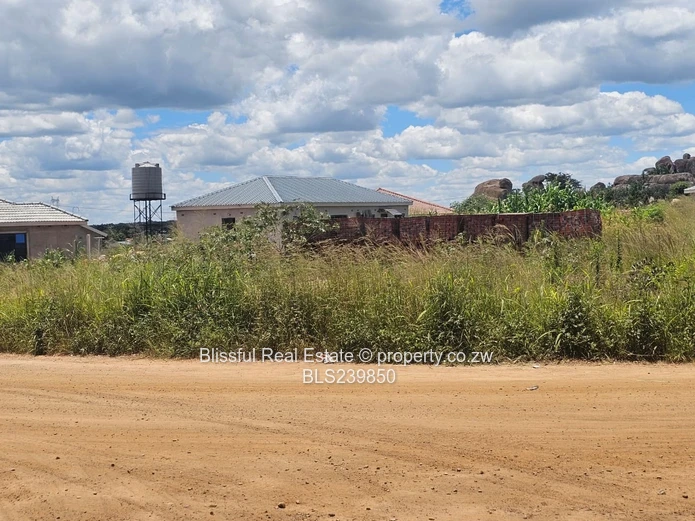 Stand for Sale in Zimre Park Extension