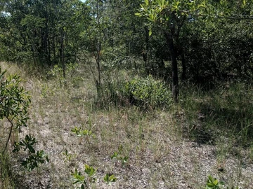 Farm & Agricultural Land