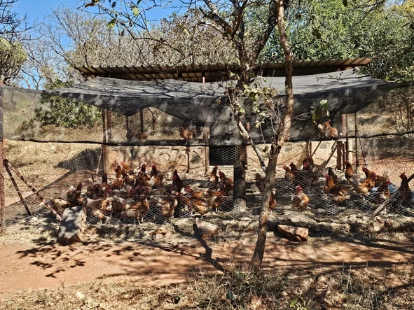 Farm & Agricultural Land