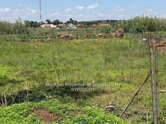 Bluffhill Stand For Sale 