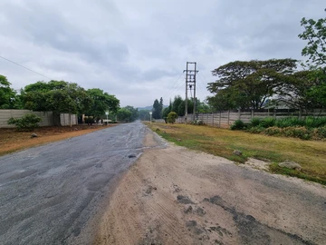 Stands & Residential Land