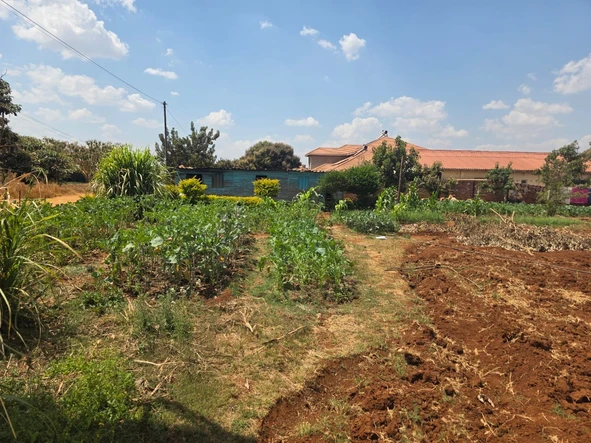 Stands & Residential Land