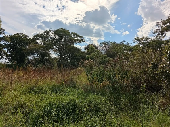 Farm & Agricultural Land