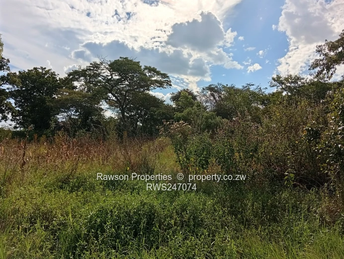 Agroplot for Sale in Ruwa
