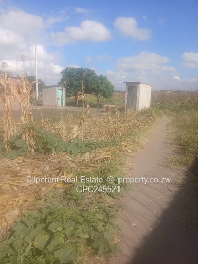 Glenview1 stand forsale