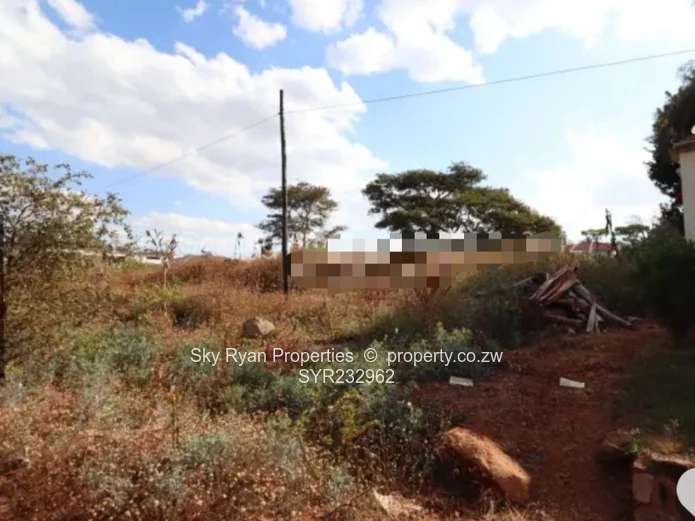 Borrowdale Luna Stand For Sale