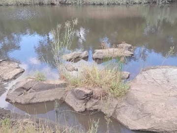 Farm & Agricultural Land