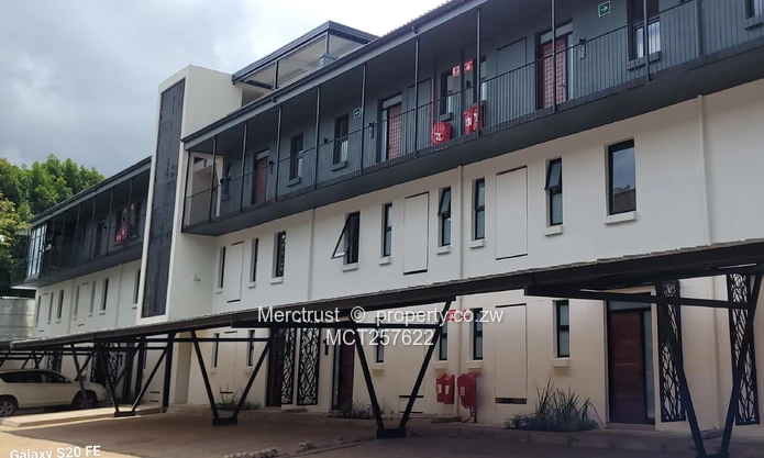Brand new luxury duplex apartment! (Sole Mandate)