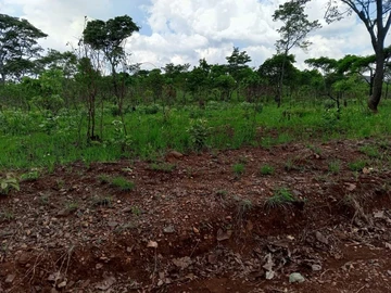 Farm & Agricultural Land