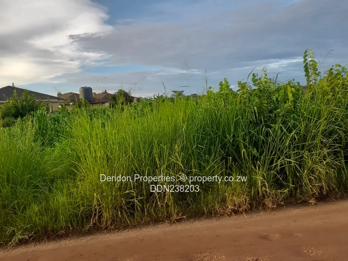 Build your dream home  (Sole Mandate)