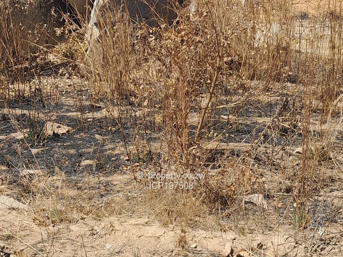 300 sqm Land  for Sale in Donnybrook, Harare  price $12 000 terms available   