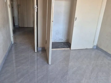 Flat & Apartment