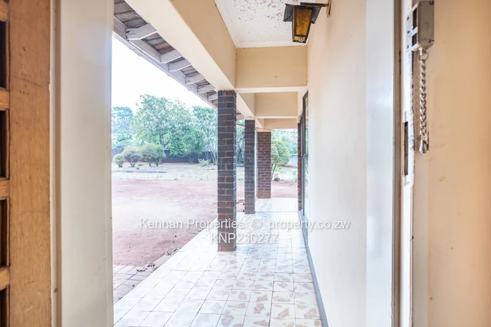 Renovator's Dream - Nostro!