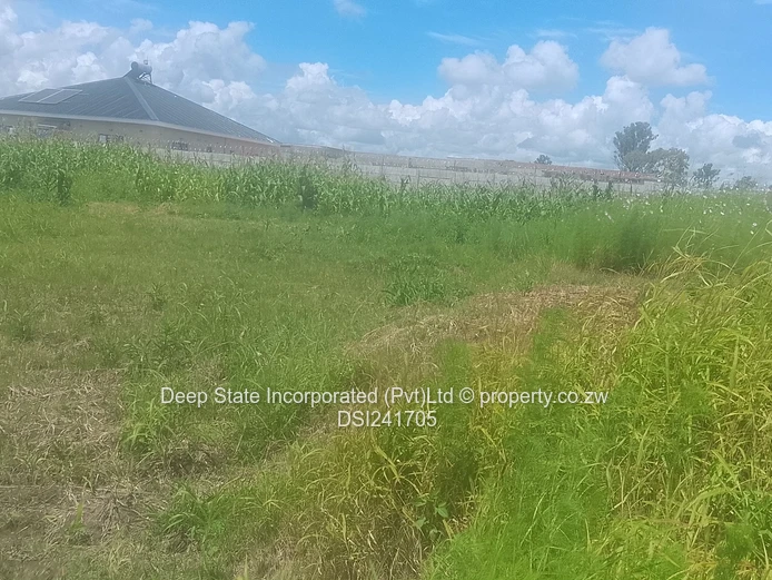 Avonlea Stand for sale 