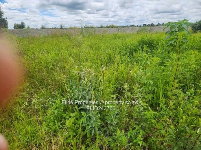 10ha Marondera Farm — Dam, Orchard, Vineyard & Homestead (Sole Mandate)