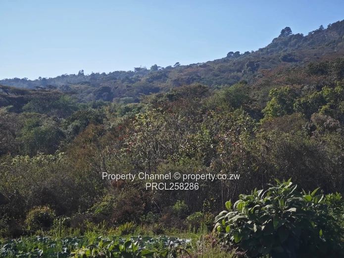 2 Ha Commercial Tourist Stand for Sale in Vumba (Sole Mandate)