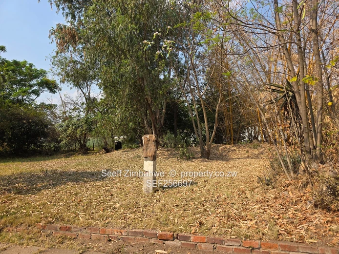 Hatfield: 4-Bed Home on 5,764 m² with Mature Trees