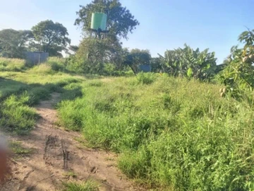 Farm & Agricultural Land