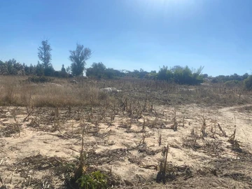 Farm & Agricultural Land