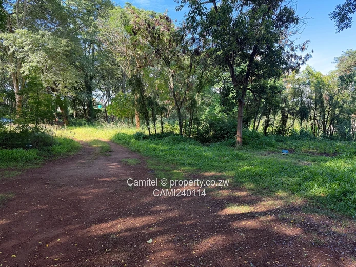 Picknic Park commercial stand with sewer,water and electricity.Clean paperwork 