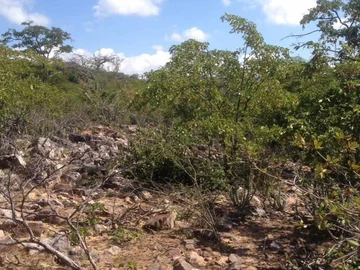 Commercial & Industrial Land