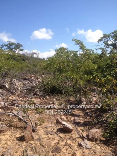 Prime 2ha Zambezi-Front Commercial Land in Binga