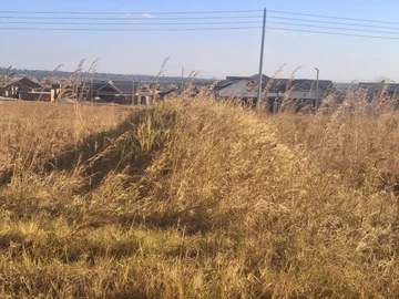 Stands & Residential Land