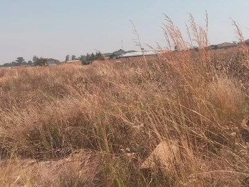 Stands & Residential Land