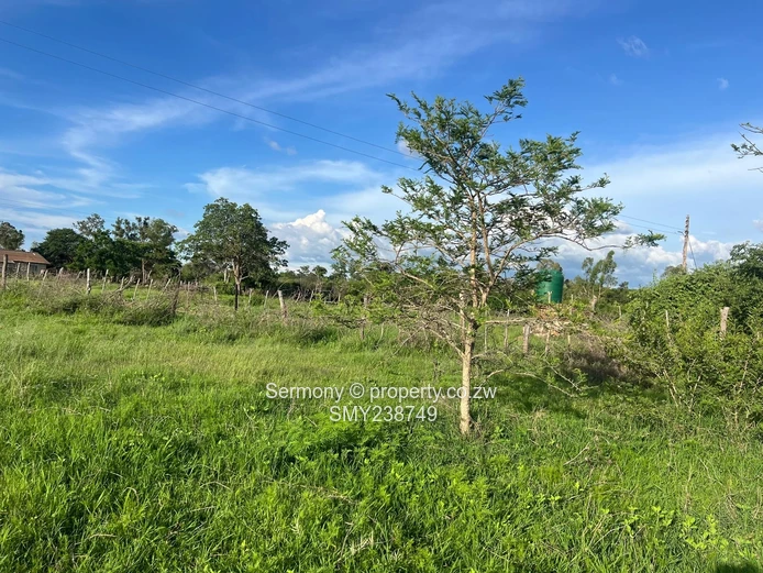 Agricultural Farm For Sale