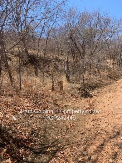 Kariba Heights Stand for Sale – Mushonga Ridge Road (Sole Mandate)