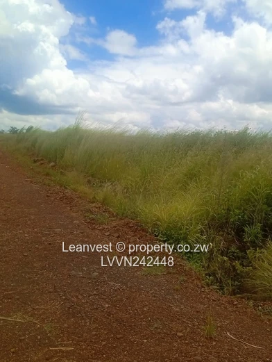 Westgate Haydon Stand For Sale 