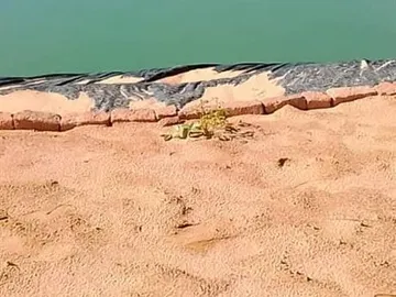 Farm & Agricultural Land