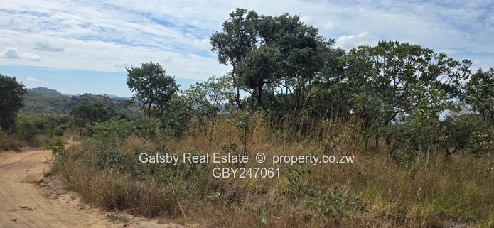 Residential stand with Certificate of Registered title