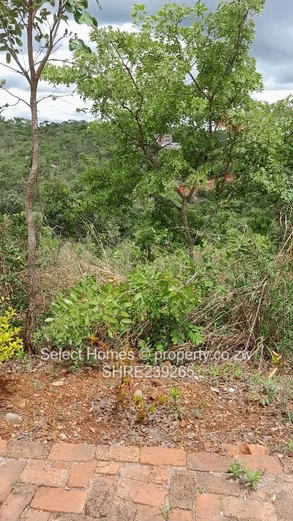 Shawasha Hills Land For Sale