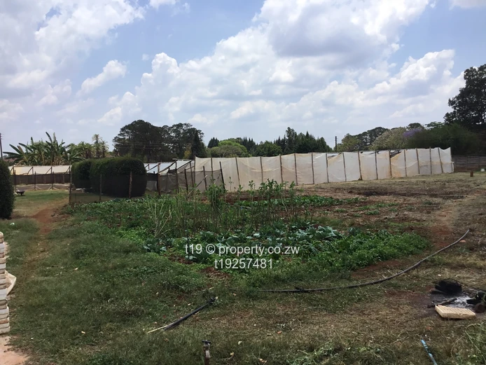 Ready to build land