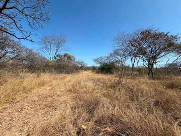 Commercial & Industrial Land