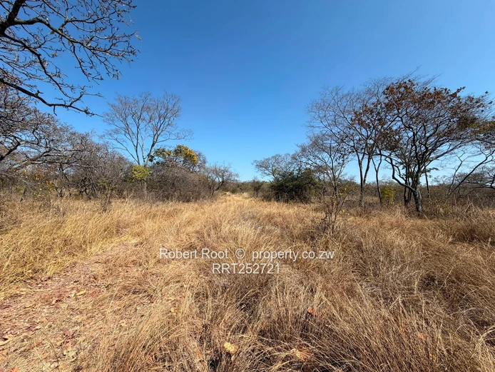 1.56ha at Darwendale with Lake View