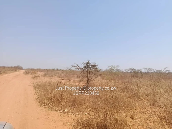 800ha Arable Farm in Mhangura — Ready for Cultivation