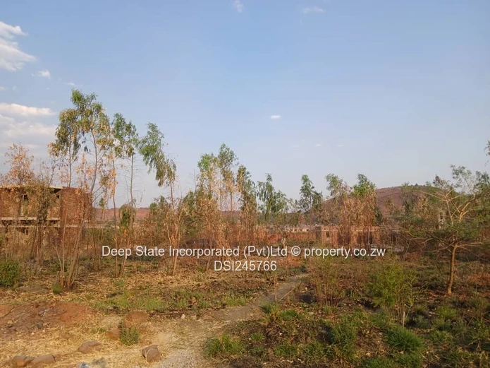 Cold comfort stand for sale 