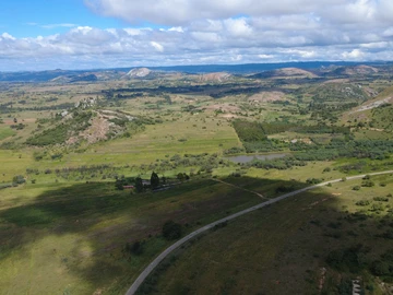 Farm & Agricultural Land