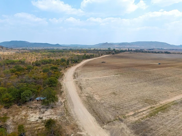 Farm & Agricultural Land