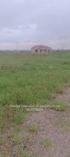 An opportunity not to miss