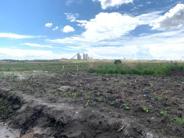 Commercial & Industrial Land