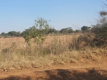 Farm & Agricultural Land